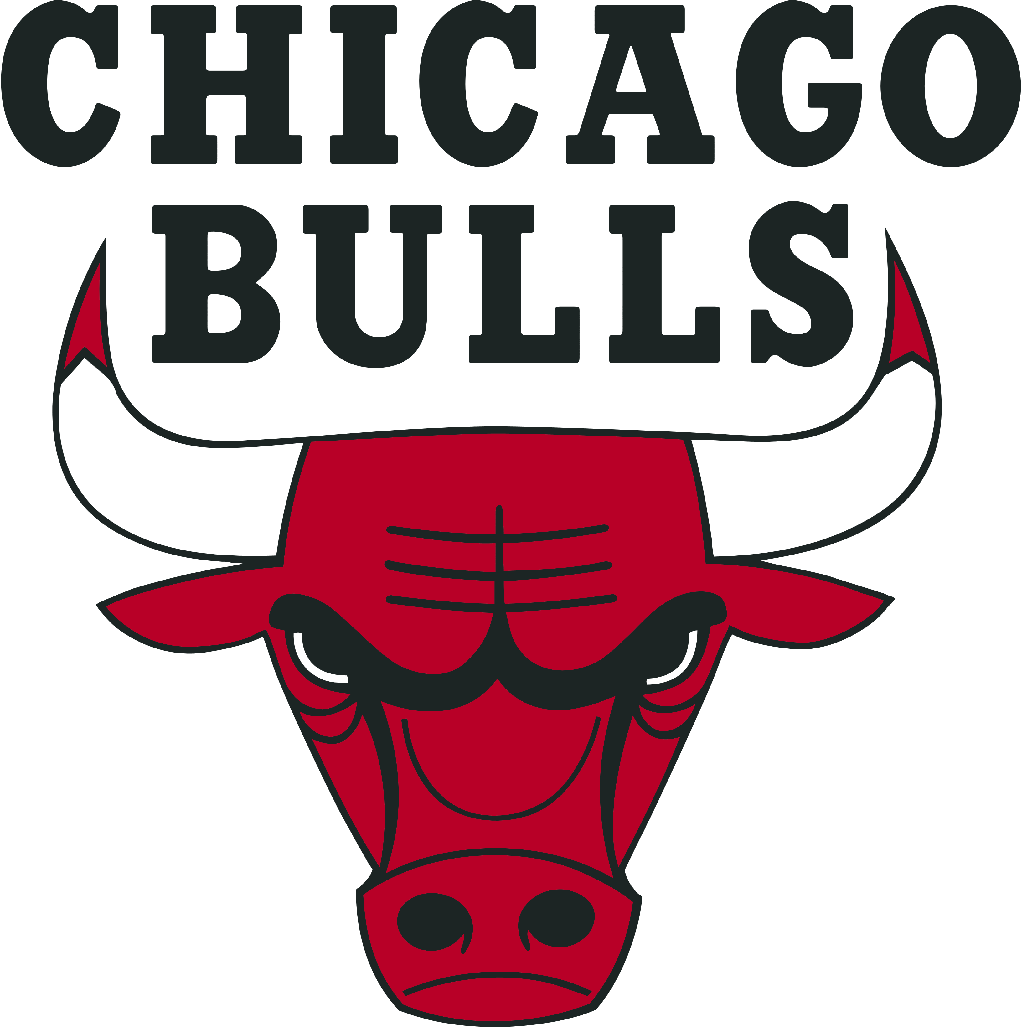 Chicago Bulls Logos Download