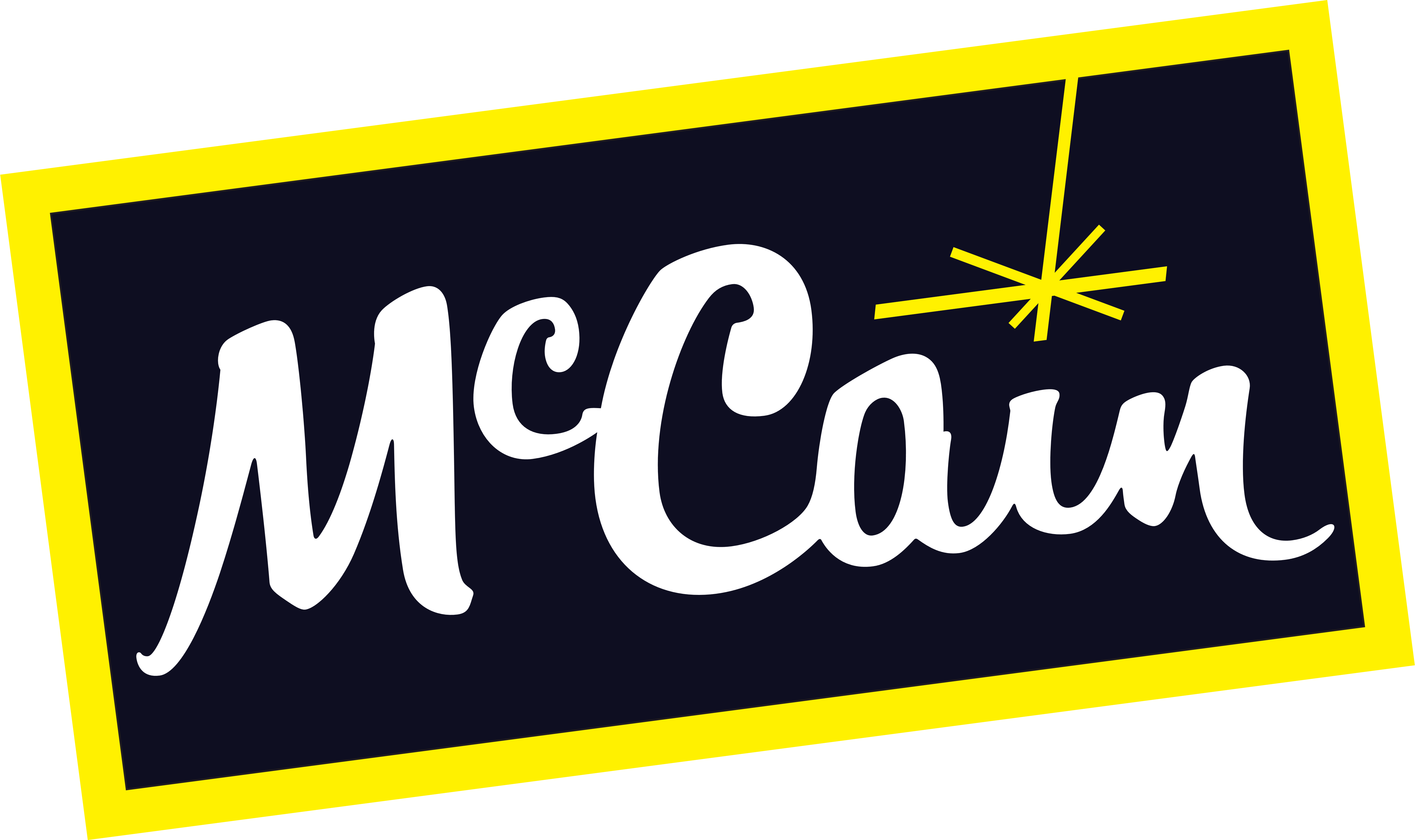 McCain_logo_logotype_international