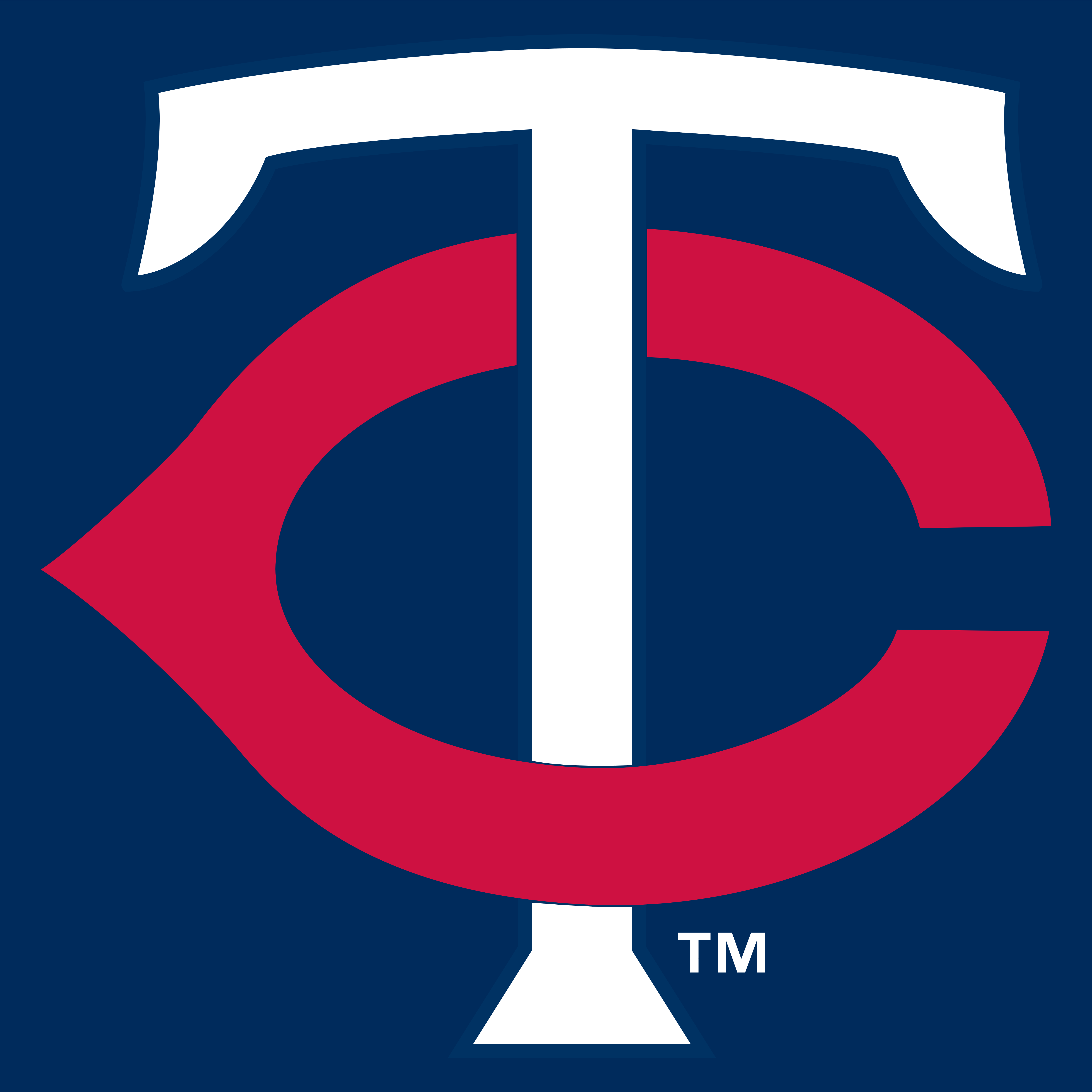 Minnesota Twins Logo Vector