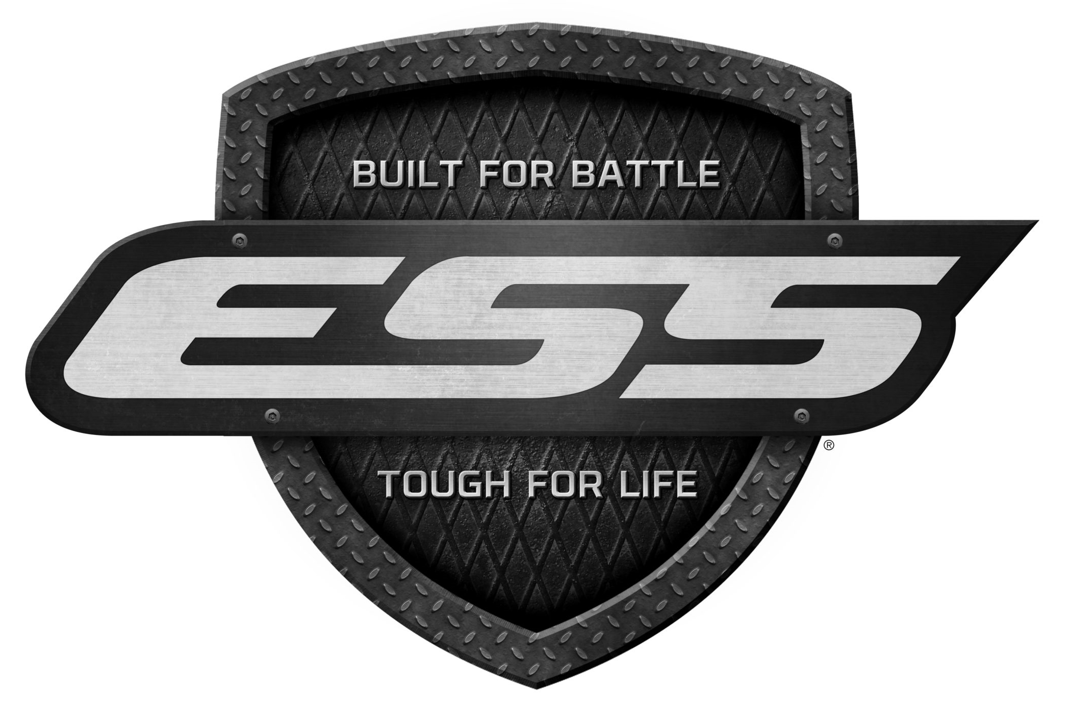 「ESS logo」の画像検索結果