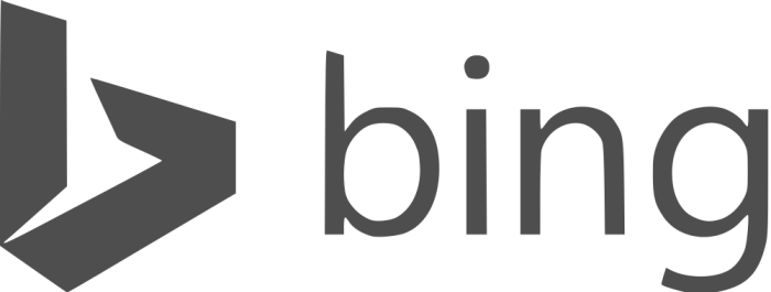 Bing - grey transparent logo