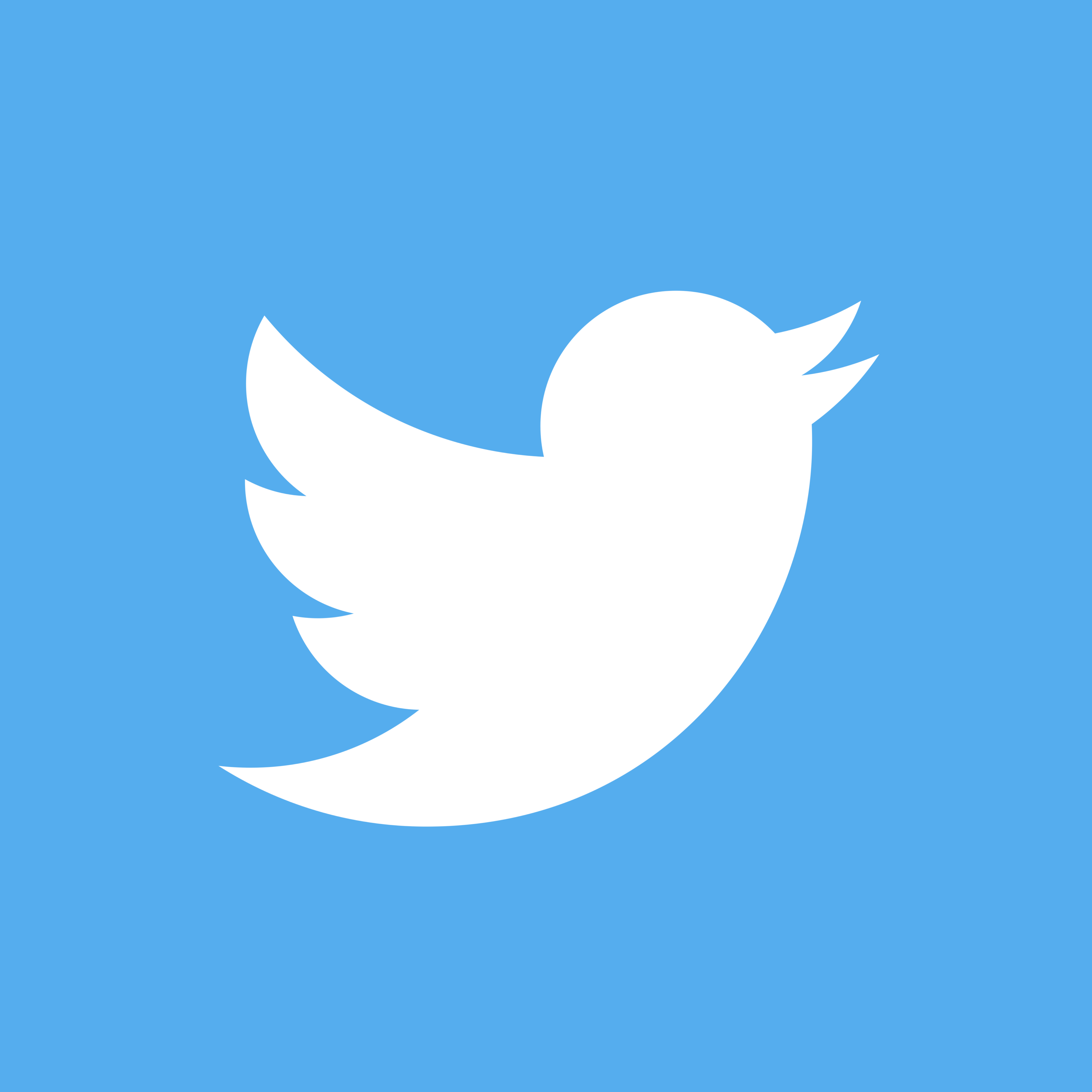 Twitter app icon Logo 2012