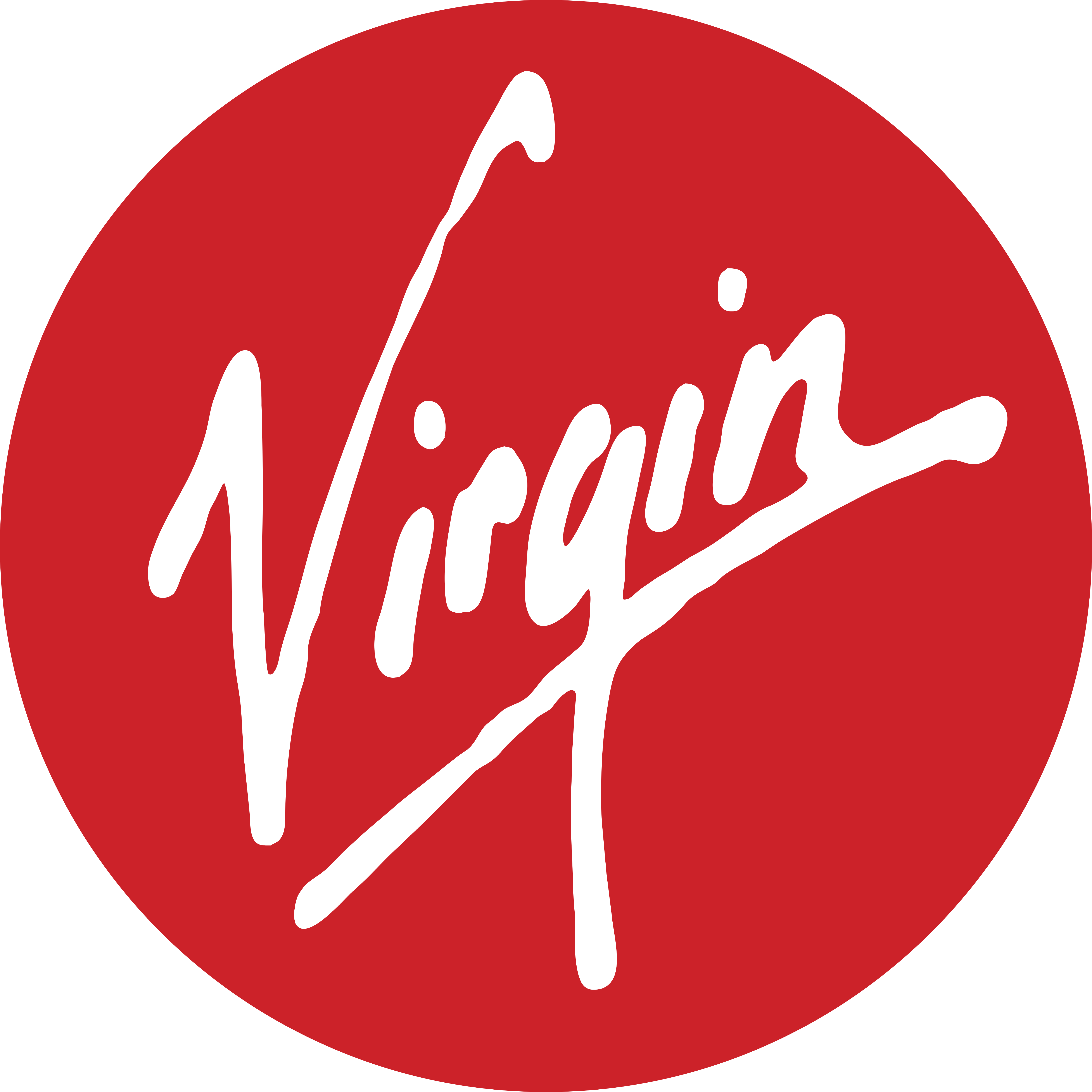 Virgin - Logos Download