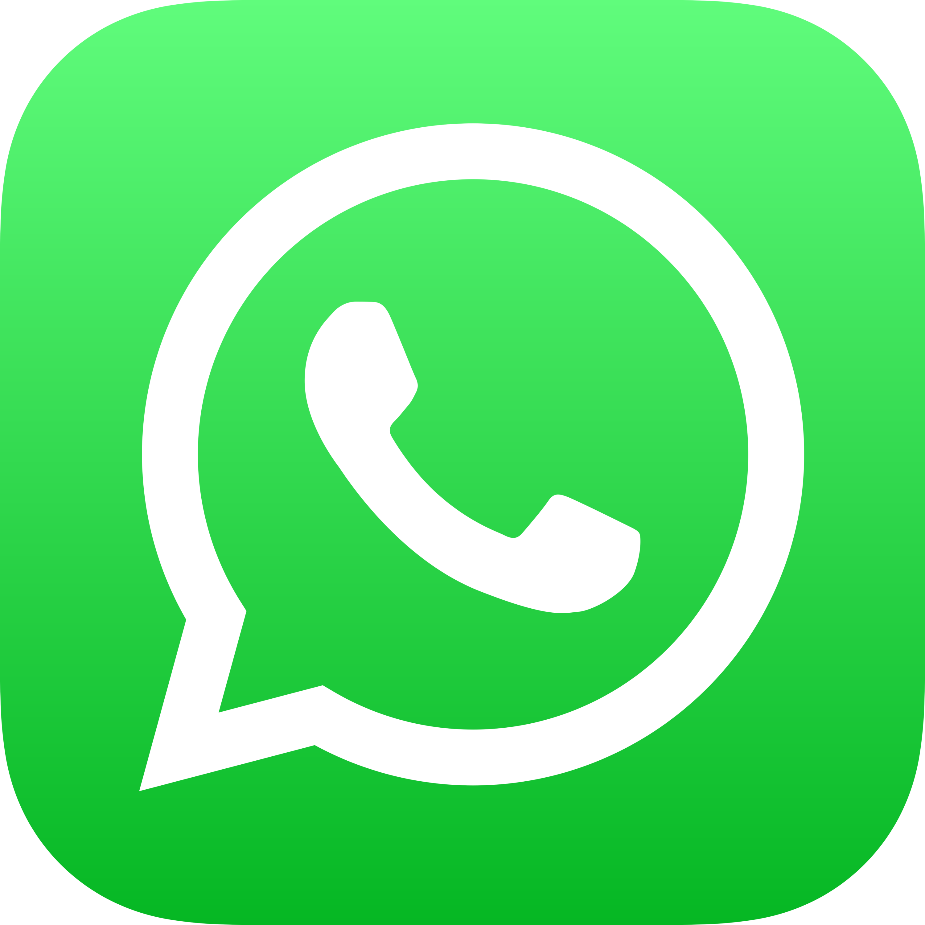 WhatsApp Logo iOS icon