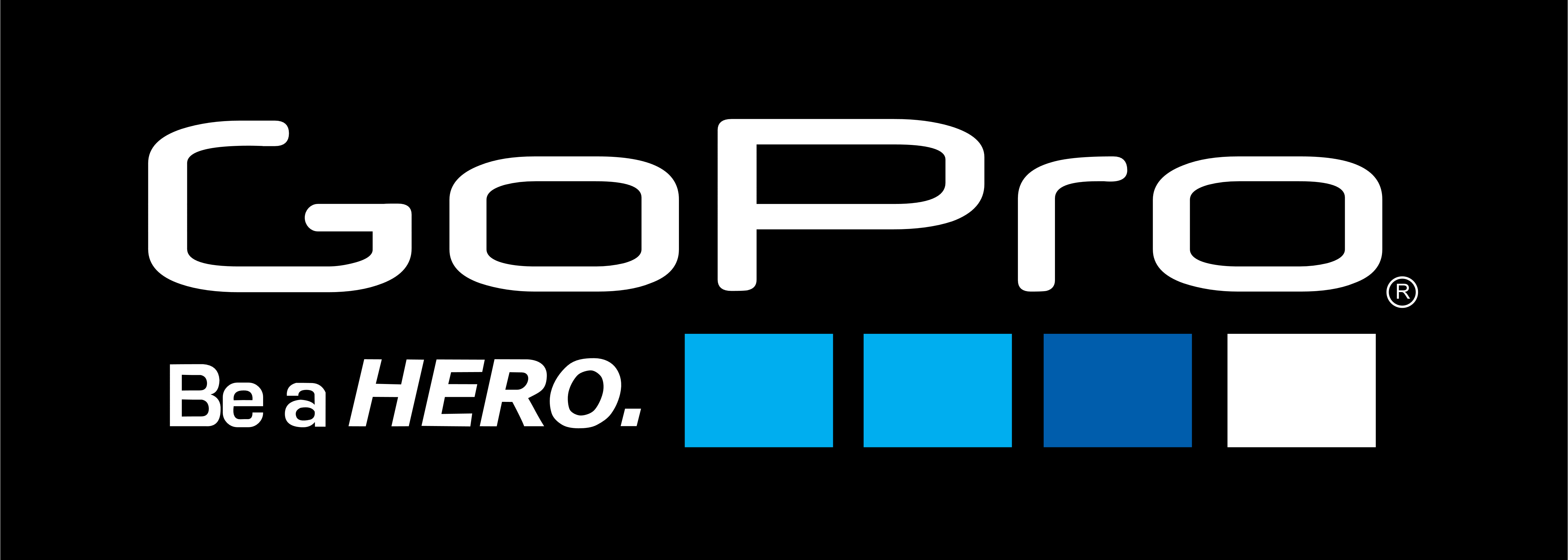 GoPro Logos Download