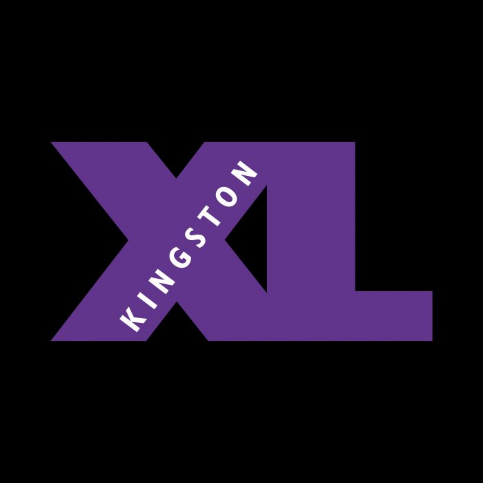 Kingston logo XL