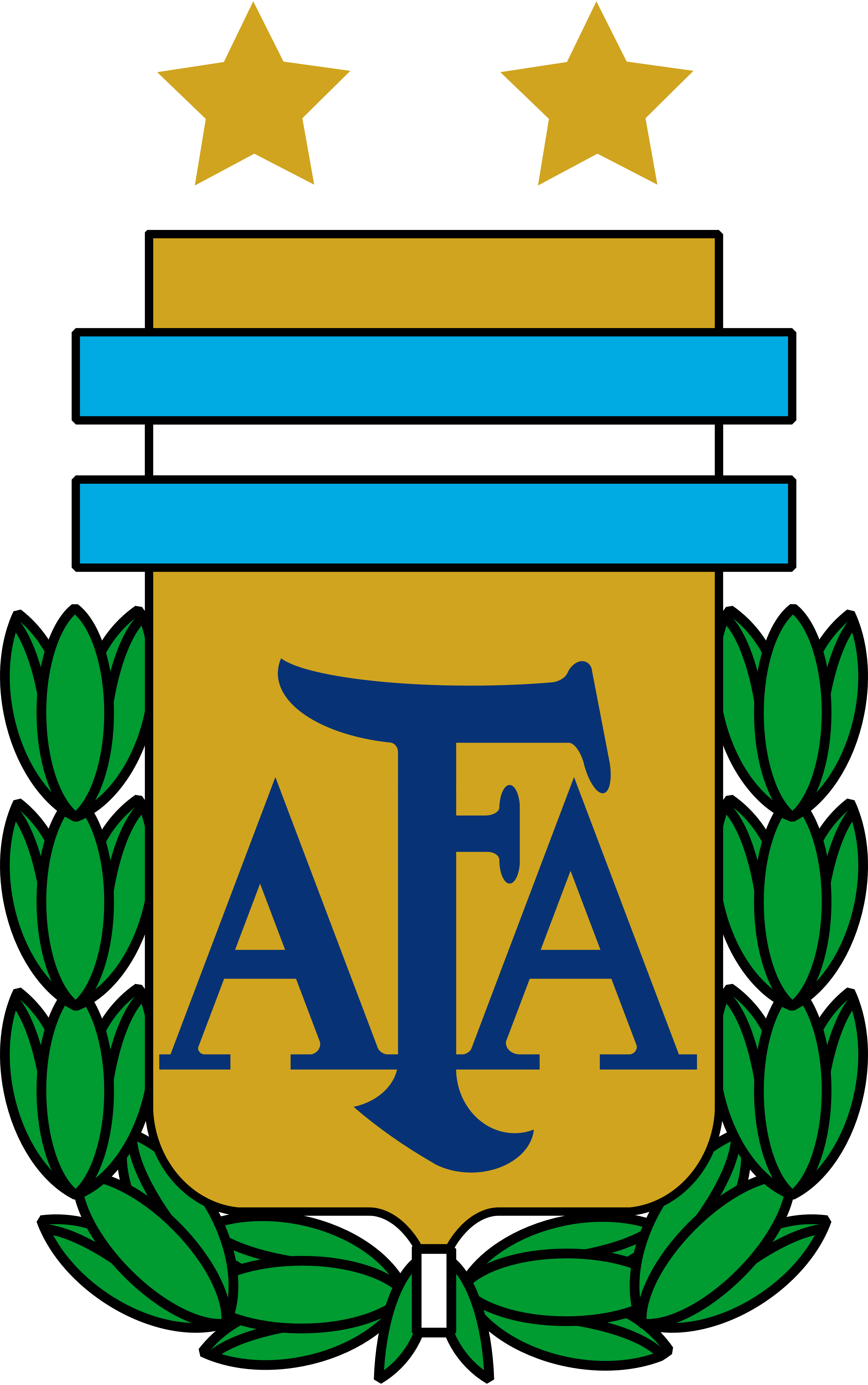 Argentina Soccer Team 2022 Logo