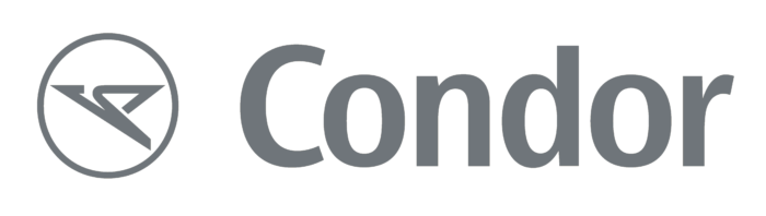 Condor logo, emblem, gray