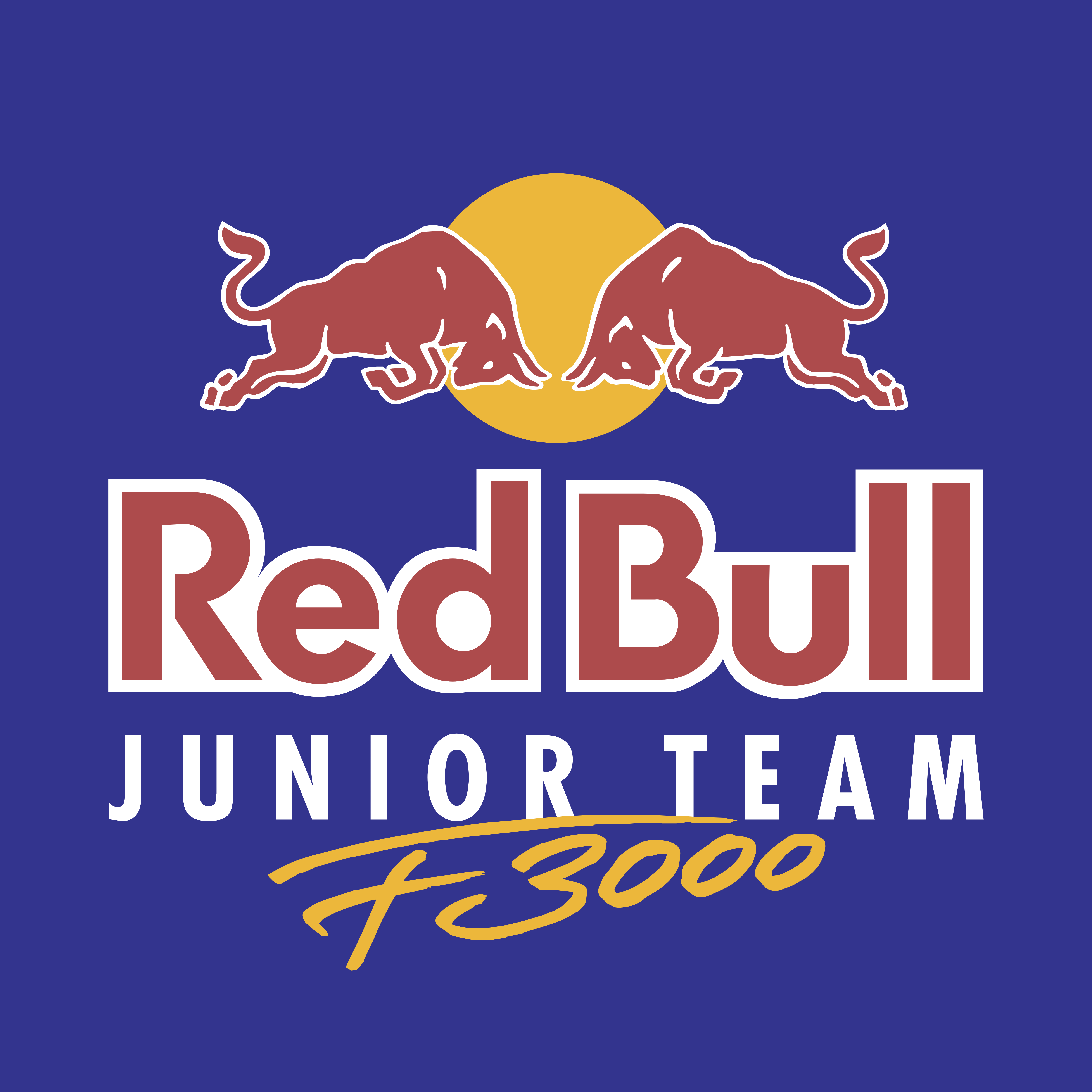 Redbull team