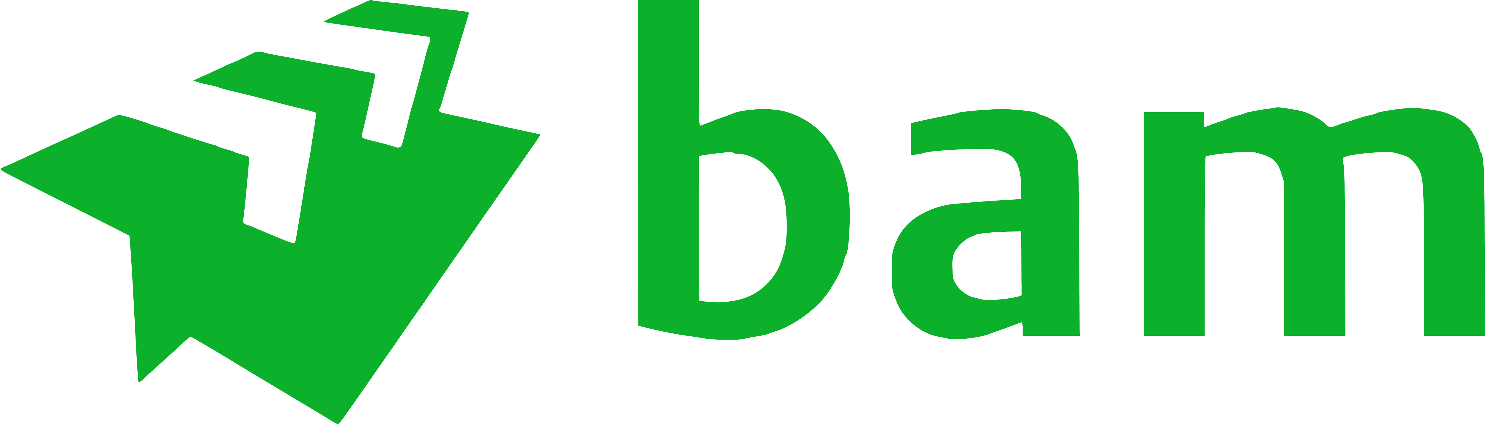 Logo Bam