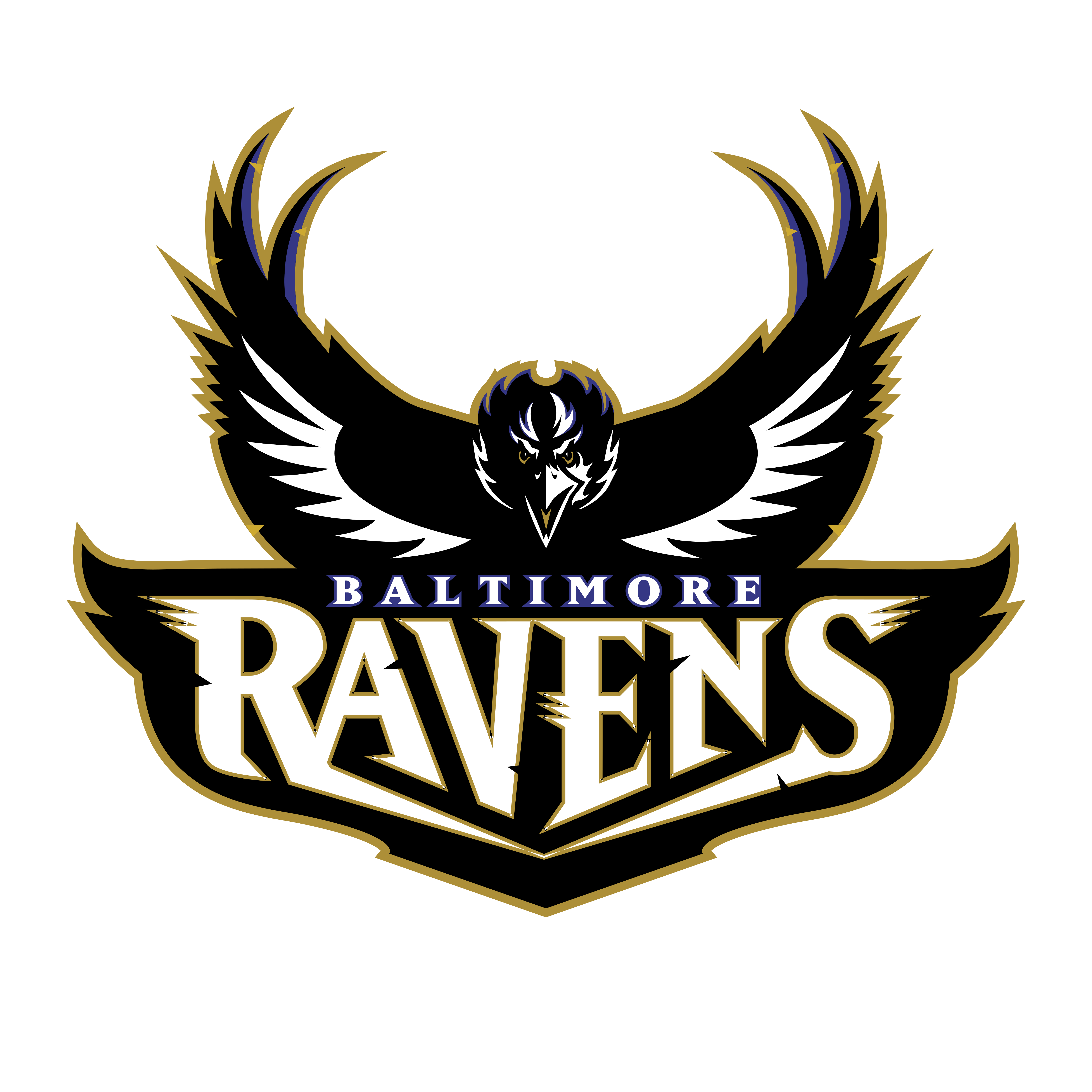 Raven Eye Logo