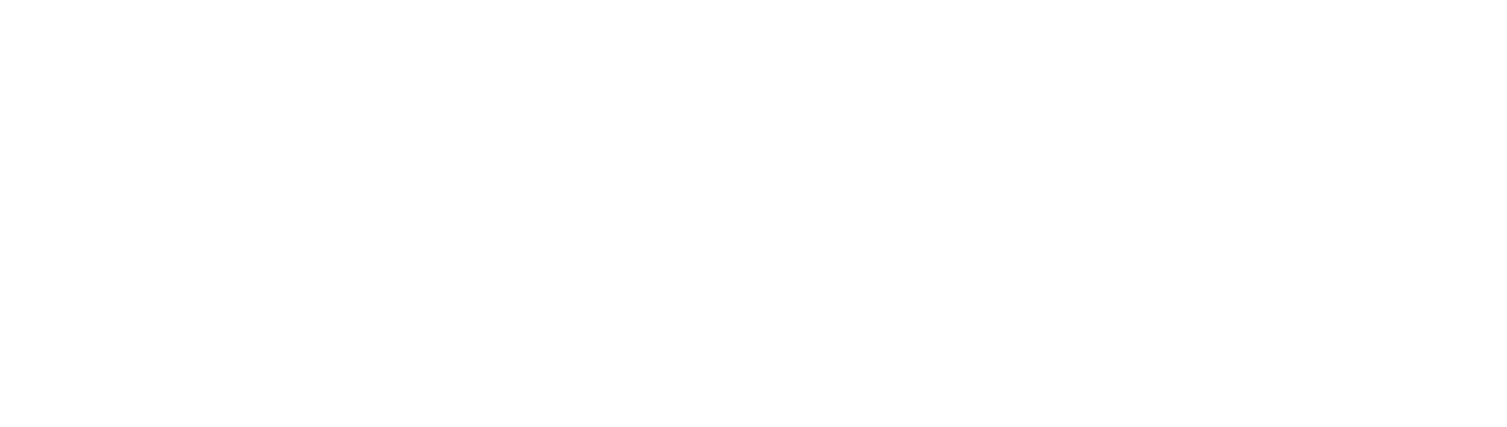Newcastle University Logo white