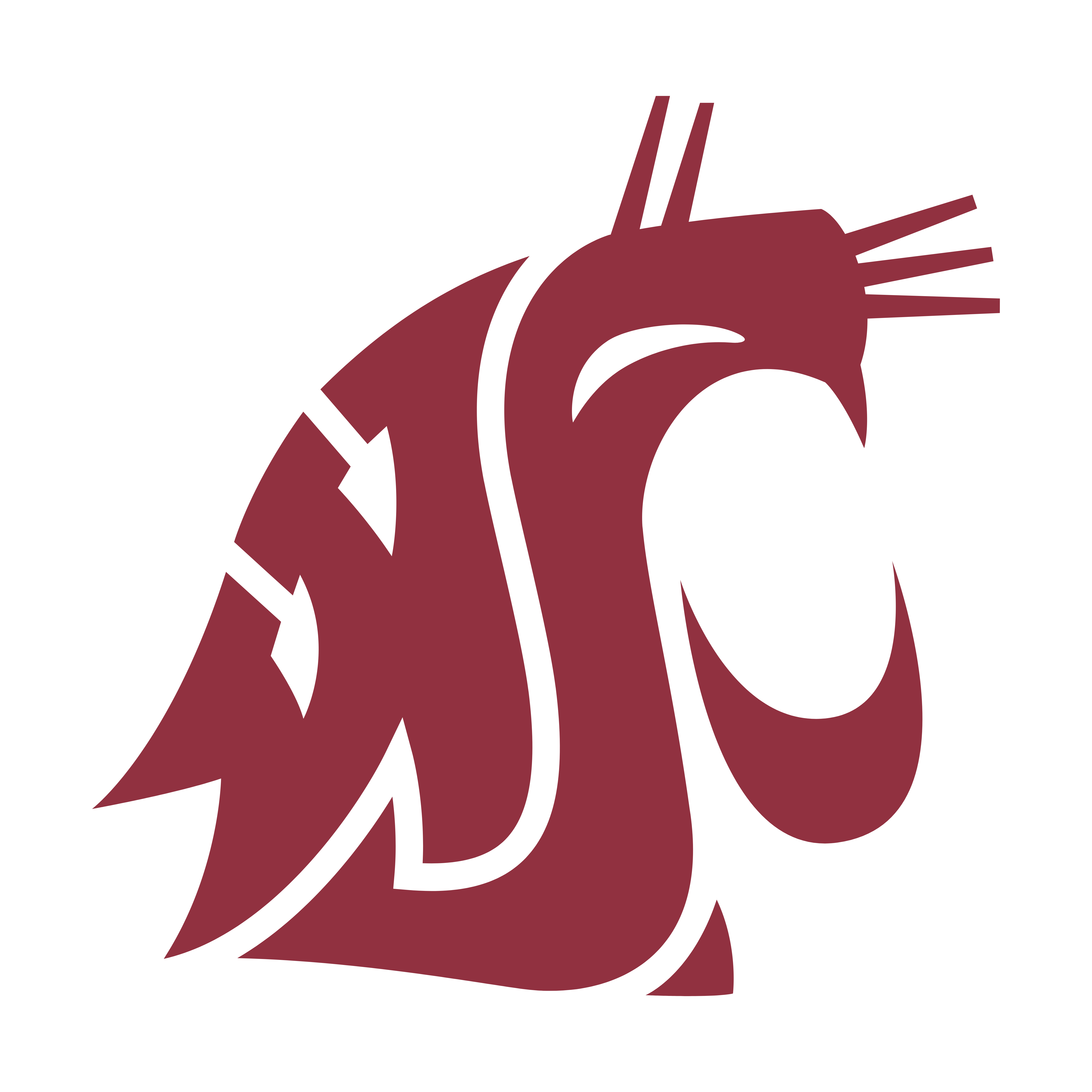 Washington State Cougars Logos Download