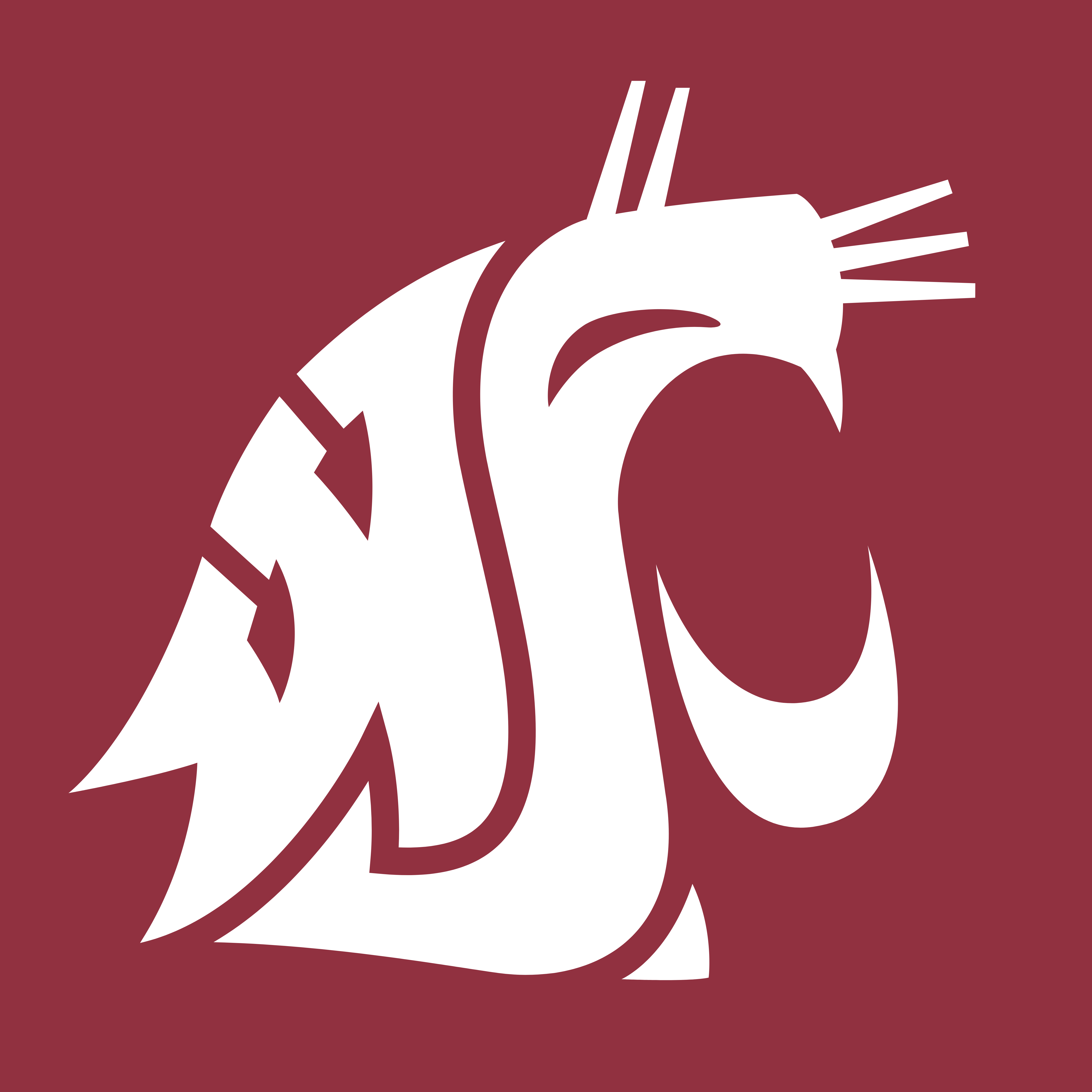 Wsu Logo