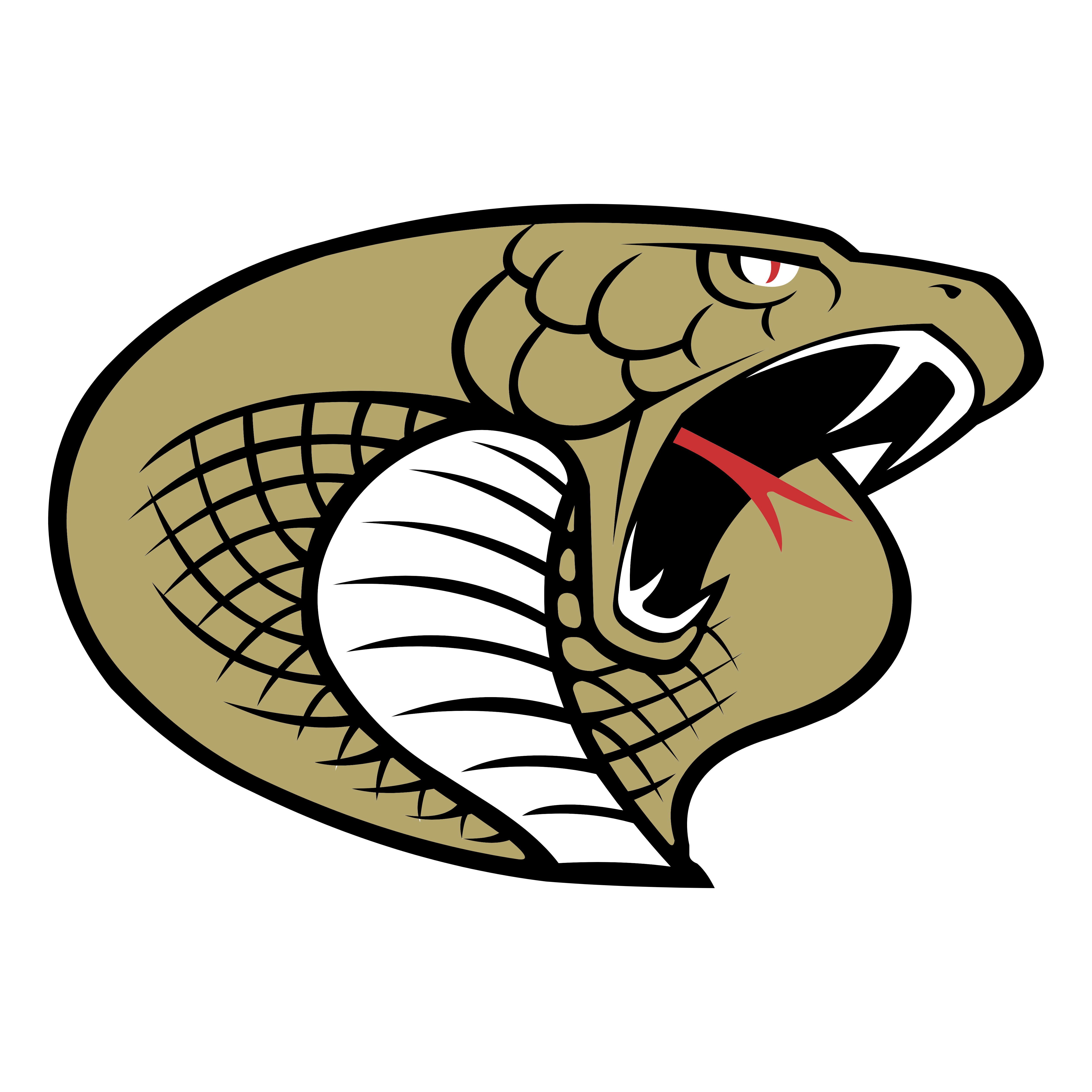 Cobras Football Logo