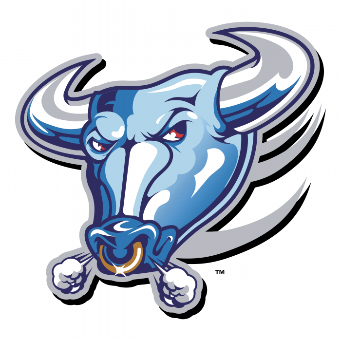 Download Buffalo Bulls - Logos Download