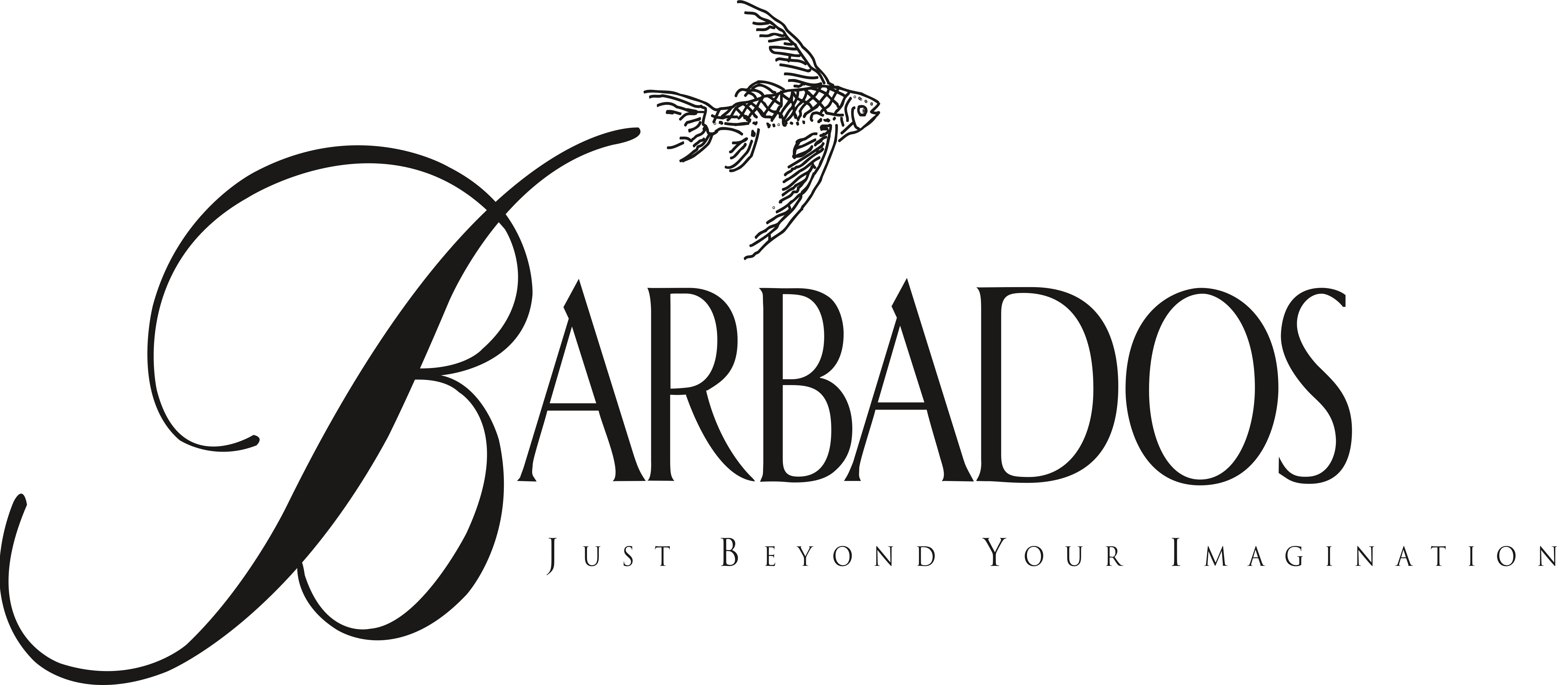 Afbeeldingsresultaat voor barbados logo