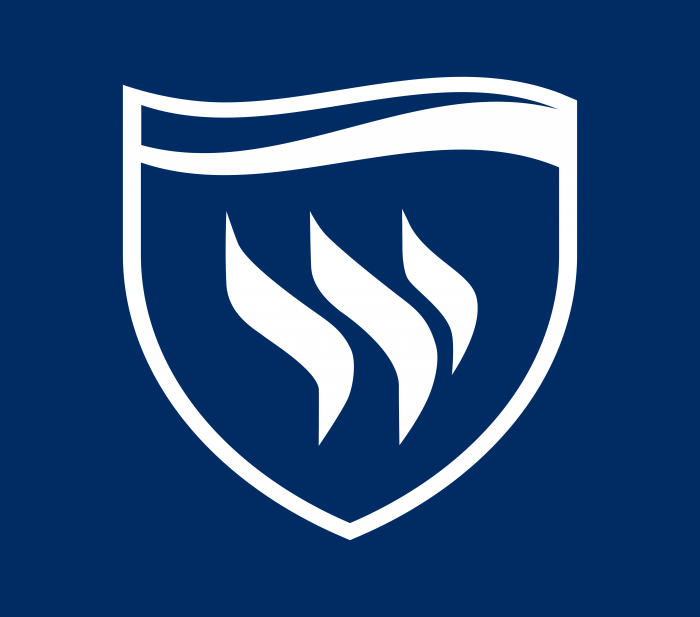 Texas Wesleyan University Logo blue background