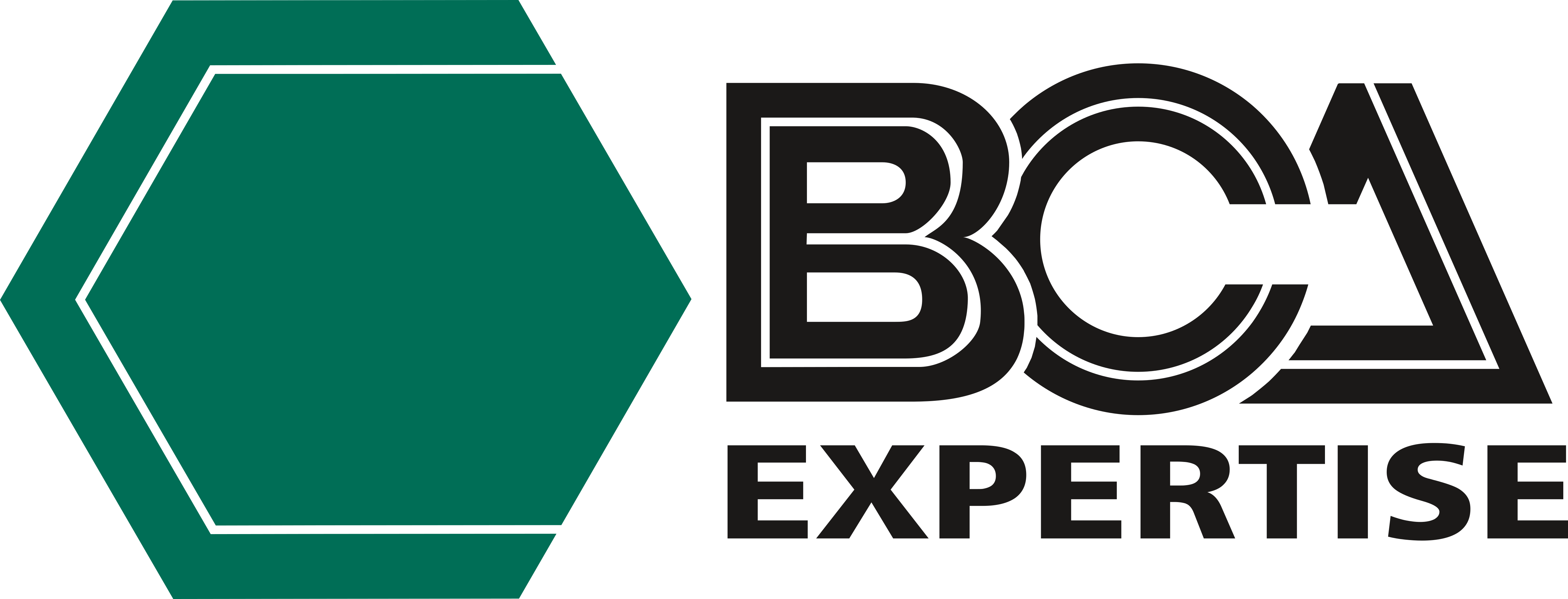 BCA Expertise – Logos Download