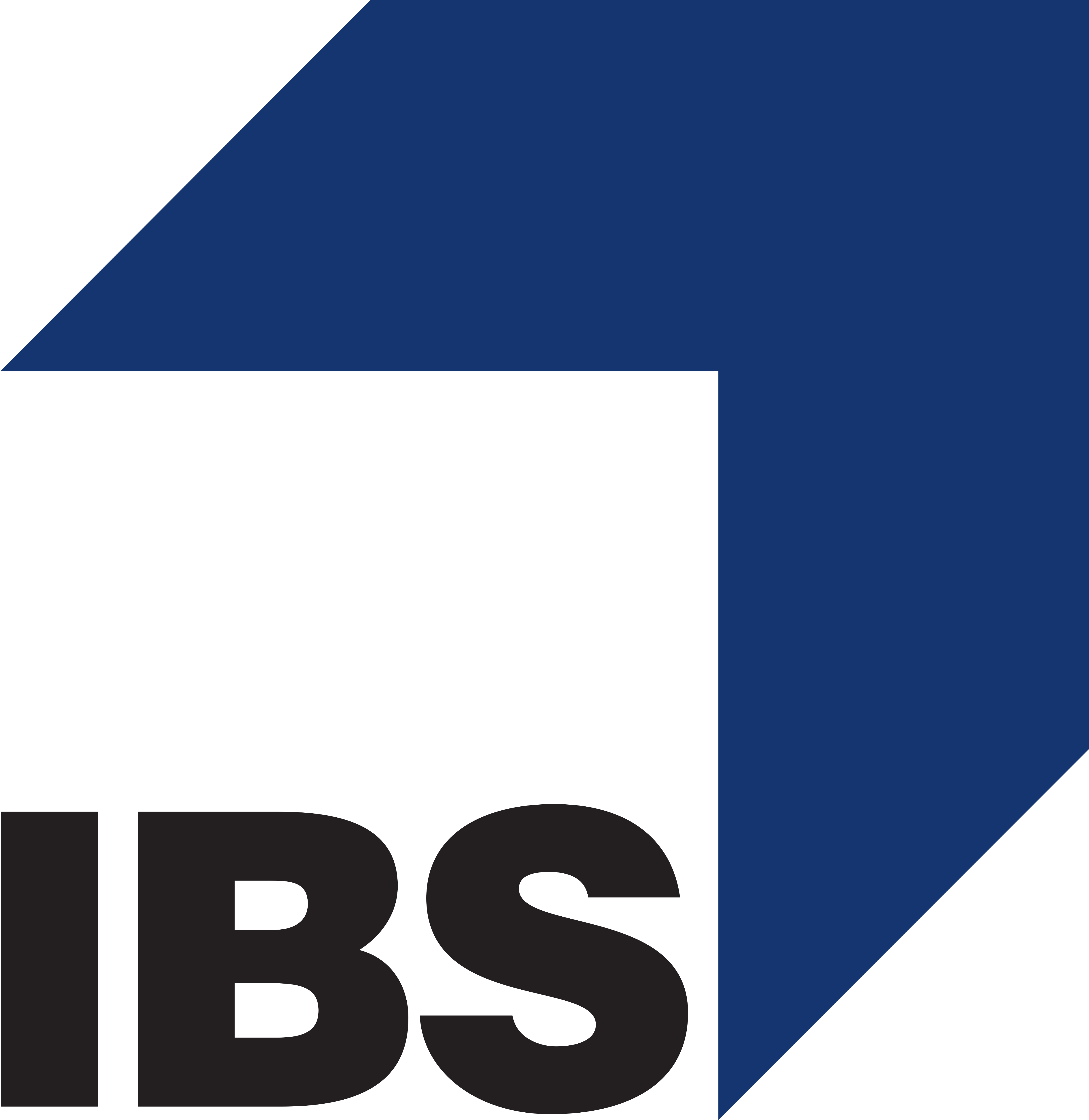 Ibs data. IBS компания. Эмблема IBS. IBS Platformix логотип. IBS компания Нижний Новгород.