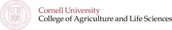 Cornell University Logo old full