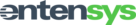 Entensys Logo