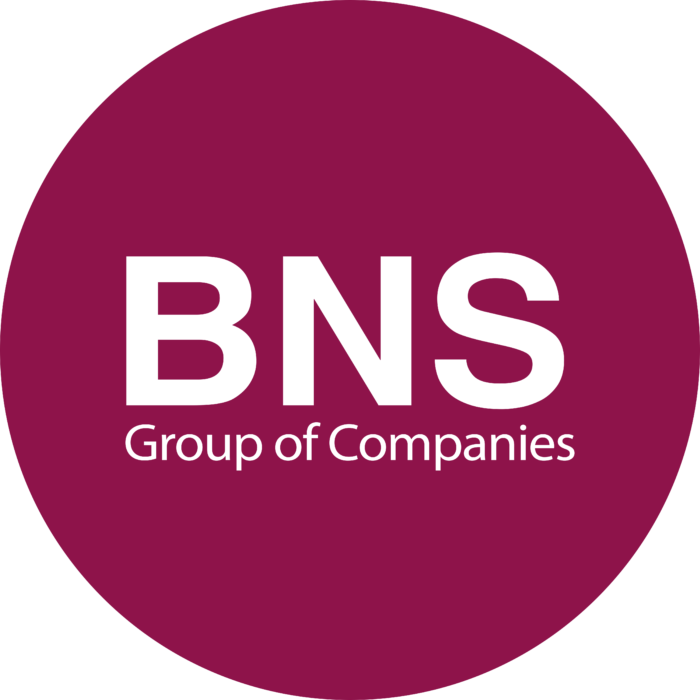 BNS Group Logo