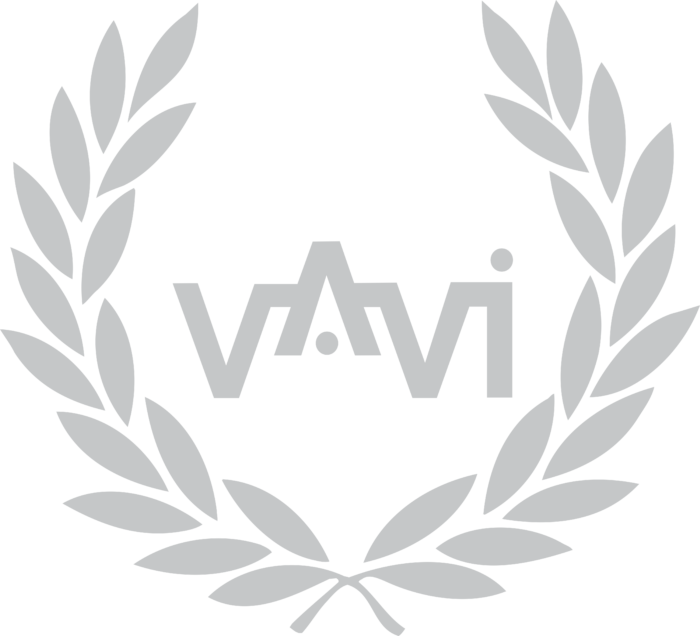 VaVi Logo