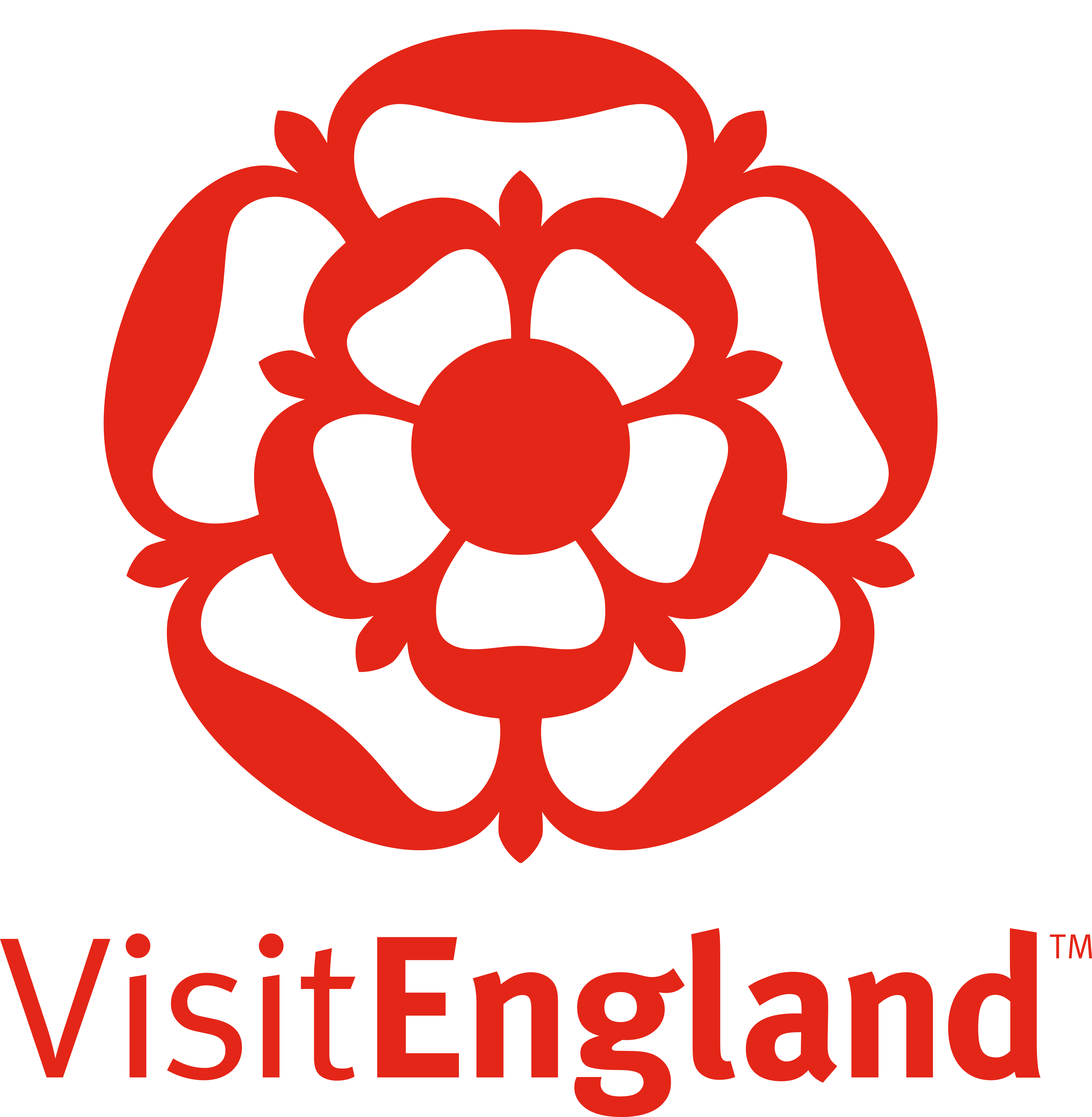 logo for visit