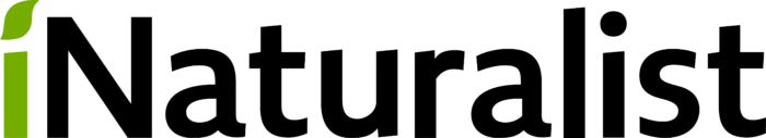 iNaturalist Logo text