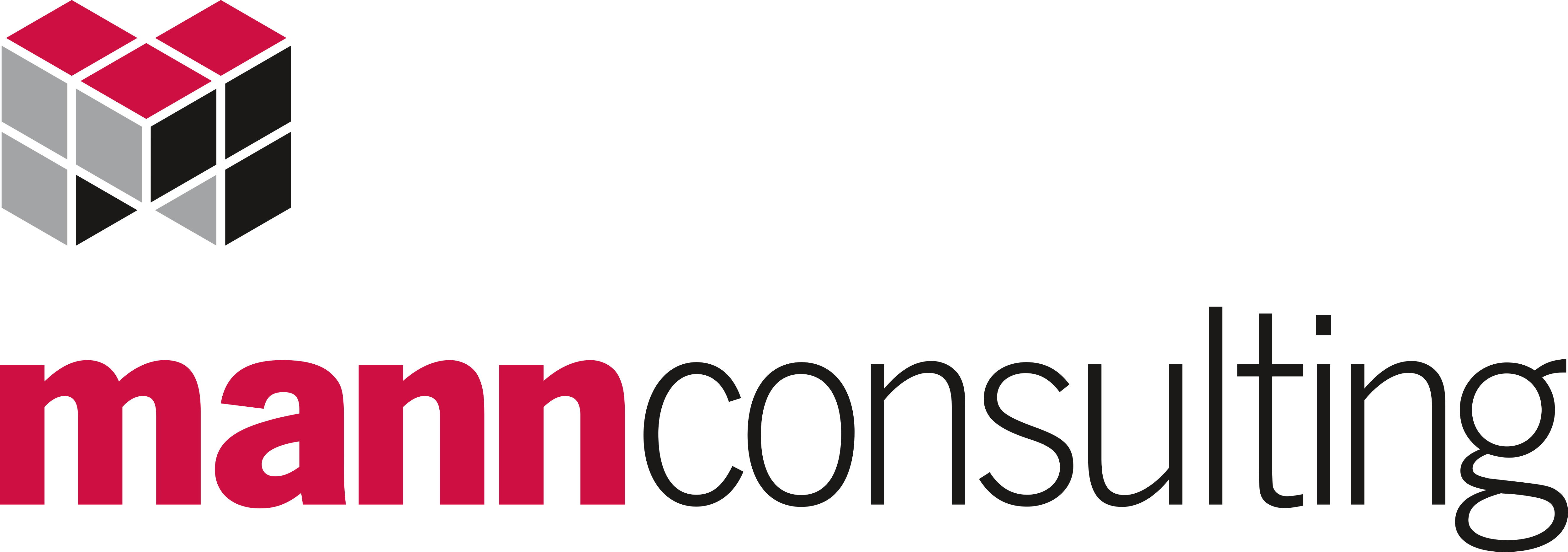 It Consulting Company Logo