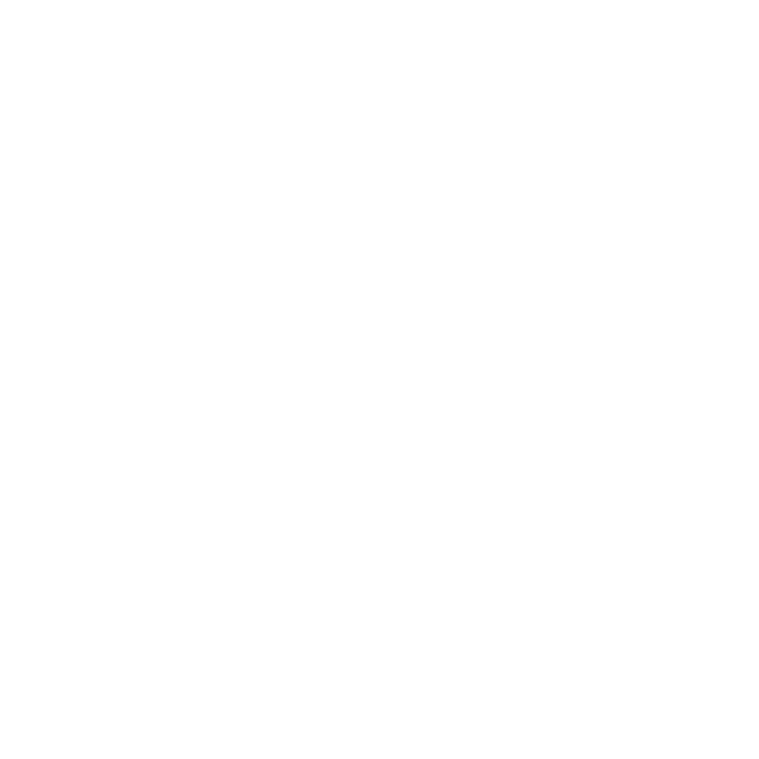 Wikinight Logo white