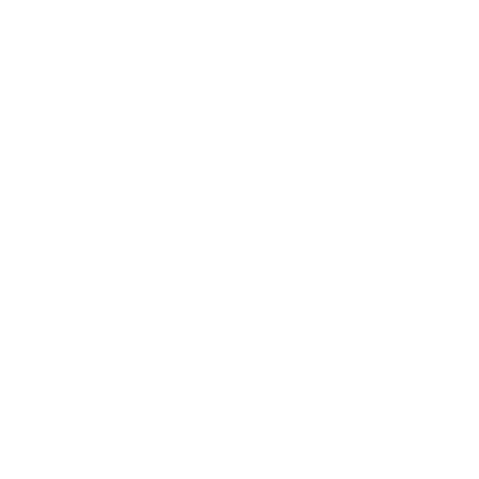Wikinight Logo white vertically
