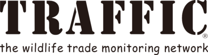 Traffic International Logo