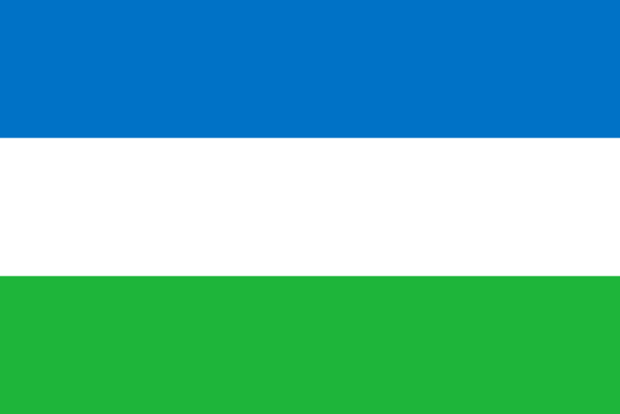 Flag of the Republic of Molossia