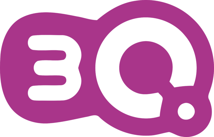 3q Logo