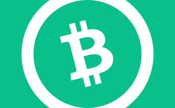 Bitcoin Cash Logo alternative