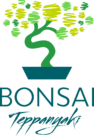 Bonsai Teppanyaki Logo