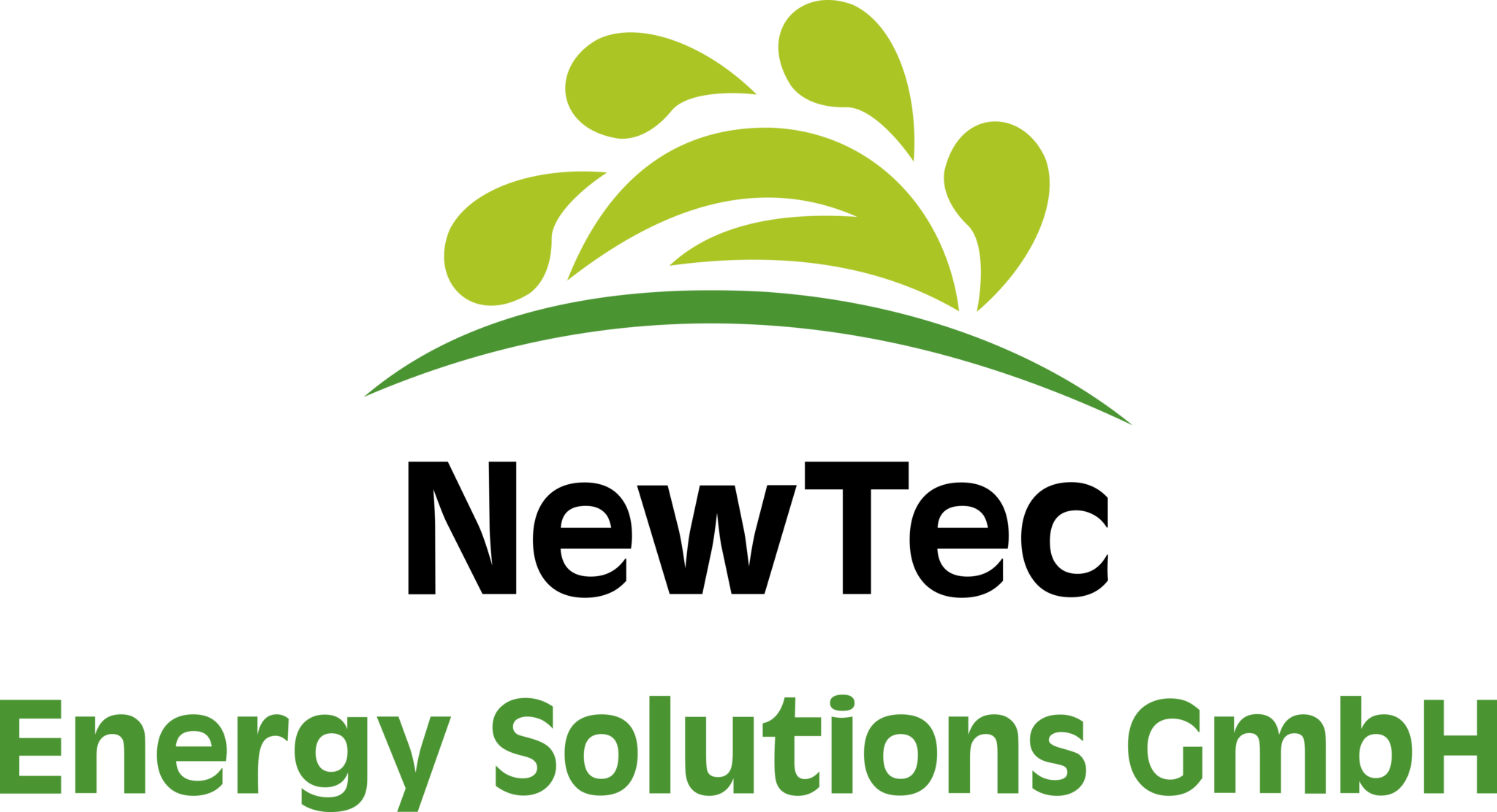Ньютек сервисез. НЬЮТЕК логотип. НЬЮТЕК Сервисез логотип. New Energy solutions. Flexi лого