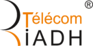 RIADH Telecom Logo