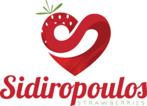 Sidiropoulos Strawberries Logo