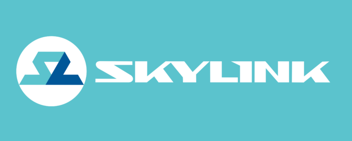 Skylink Logo old