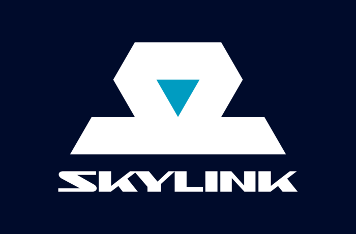 Skylink Logo old vertically