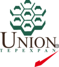 Unión Tepexpan Logo