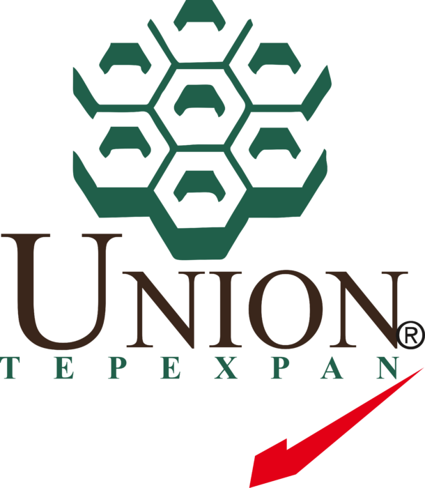 Unión Tepexpan Logo