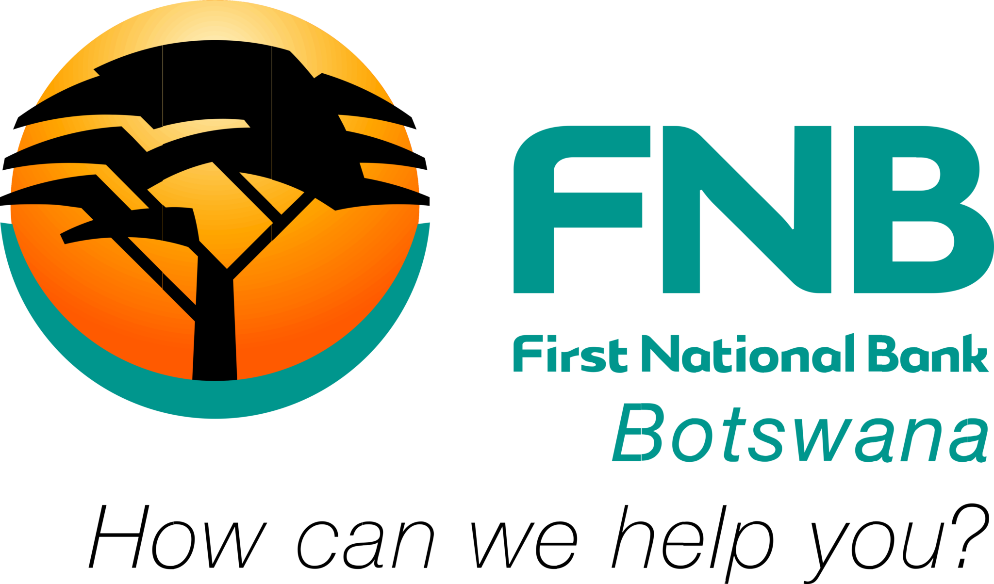 First national. First National Bank (South Africa). First National Bank логотип. Bank of Africa логотип. Банк ЮАР лого.