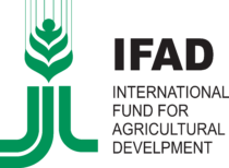 International Fund for Agricultural Development Logo