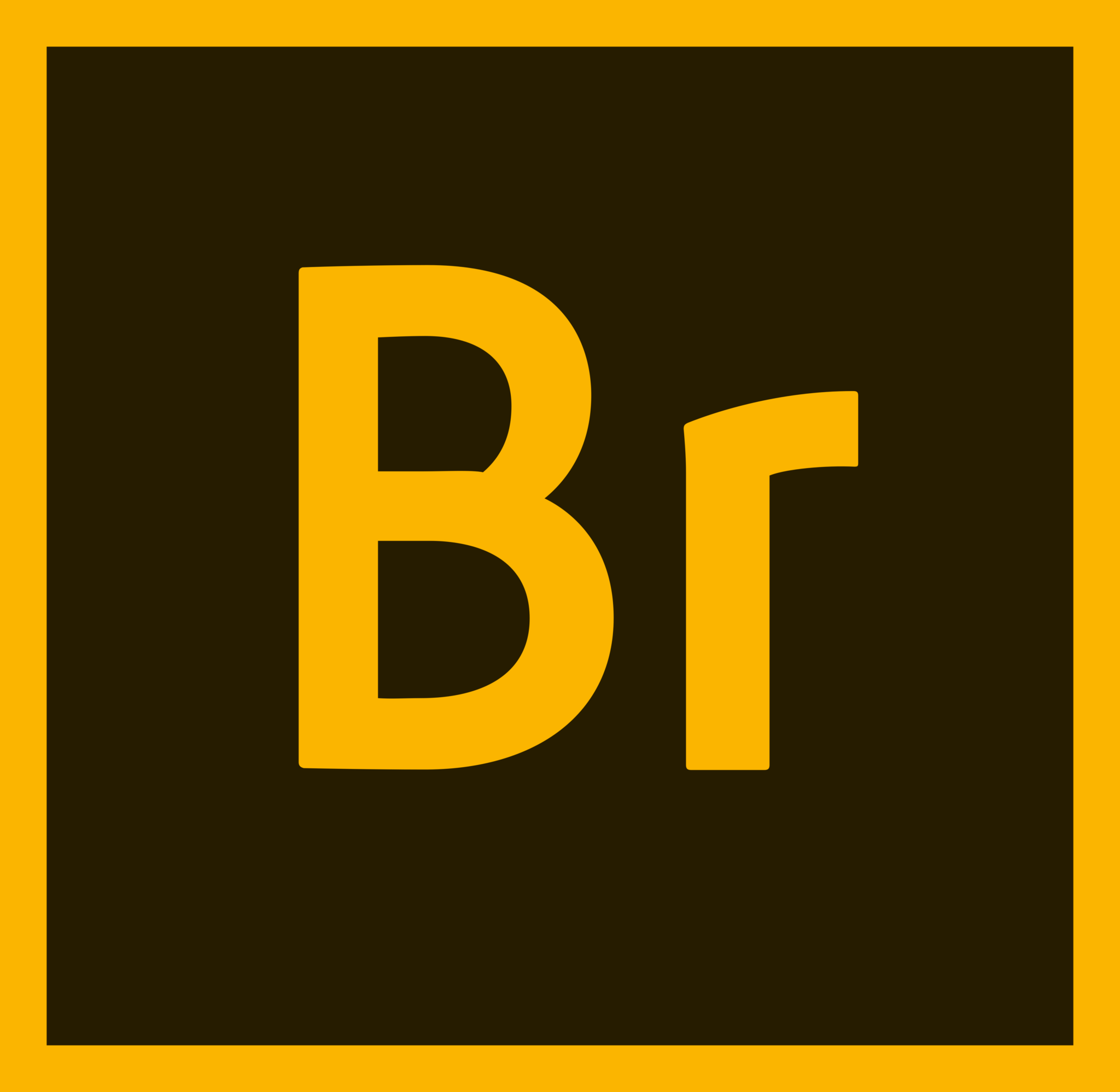 Adobe Bridge Logos Download