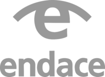 Endace Logo