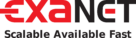 Exanet Logo